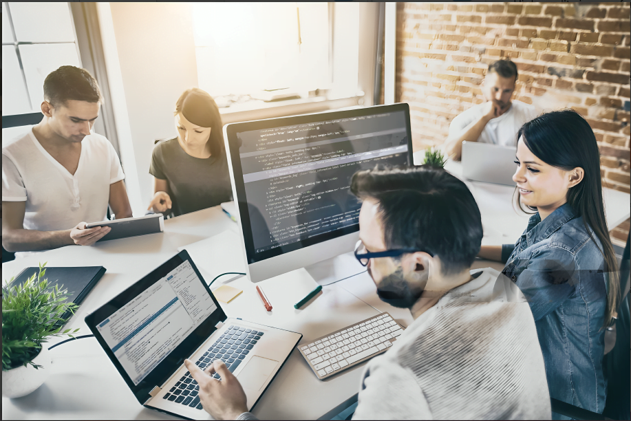 bespoke software development partner